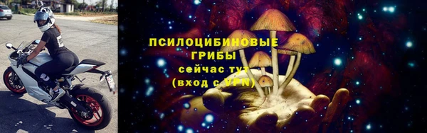 кокаин Богданович